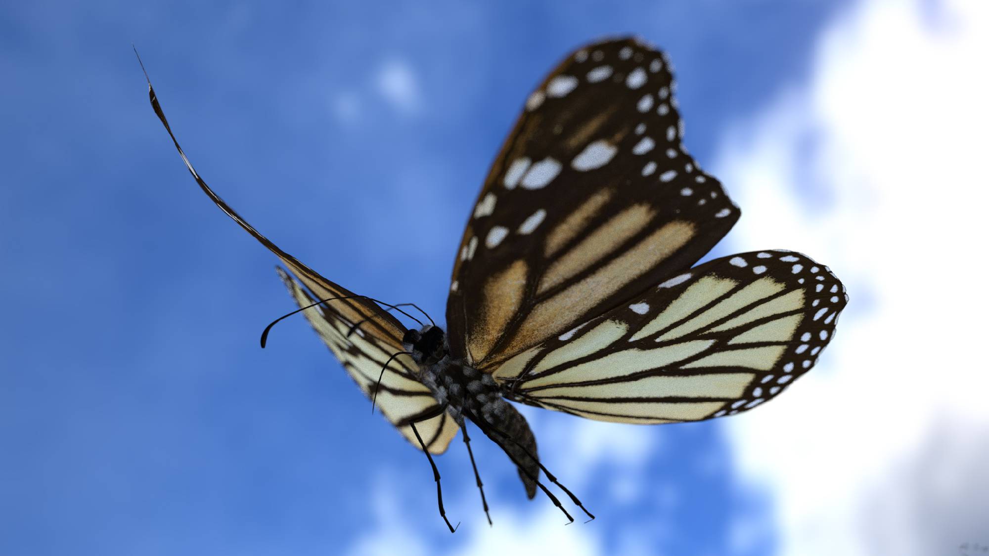 3D butterfly